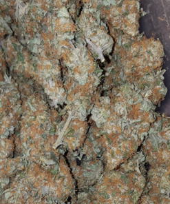 Amnesia Haze