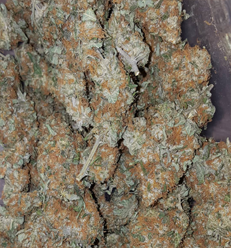 Amnesia Haze