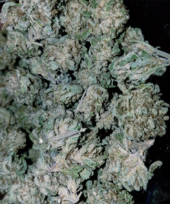 AK-47