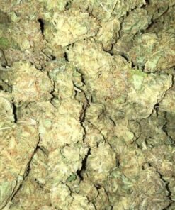 Grand Daddy Purple