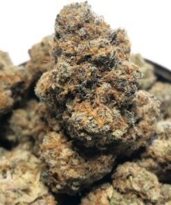 Buy Pineapple Express