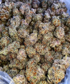 Chemdawg