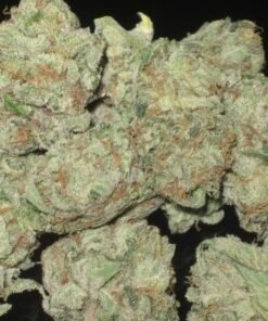 Moonwalker Kush