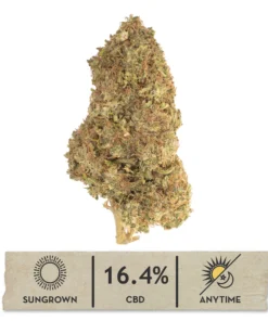 Pineapple Sugar Cookies Hemp Flower
