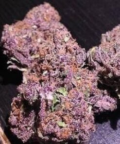 Purple Haze
