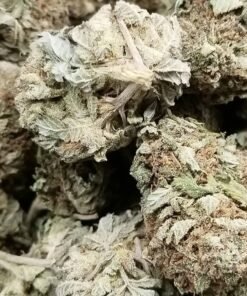 Purple Lemon Haze