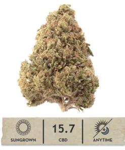 Raspberry Bear Claw Hemp Flower
