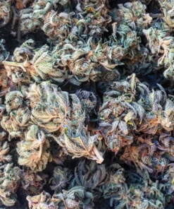 Skywalker