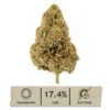 Sour Special Sauce Hemp Flower
