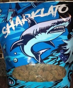 Sharklato Runtz