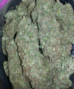 White Russian