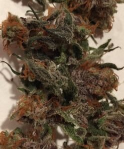 Alaskan Thunder Fuck