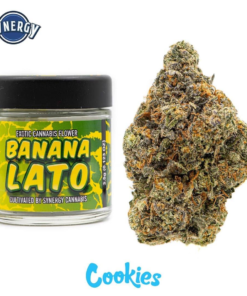Banana Lato
