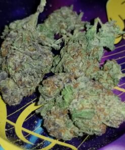 Blue Dream