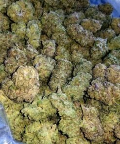 Gorilla Glue 4