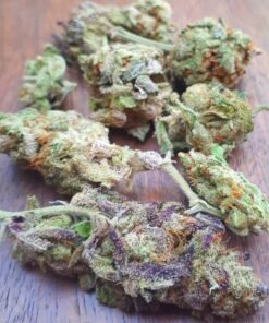 Girl Scout Cookies
