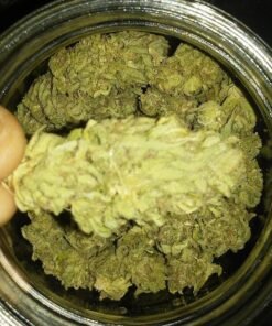 Mango cannabis Strain