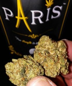 Buy Paris OG