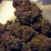 purple kush