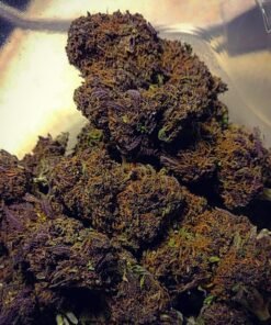 purple kush