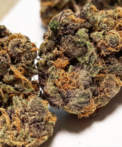 Purple Diesel