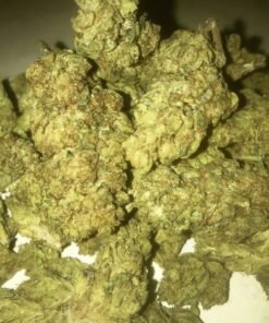 Buy XXX OG KUSH